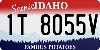 ID license plate 1T8055V
