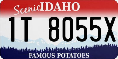 ID license plate 1T8055X
