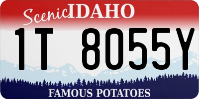 ID license plate 1T8055Y