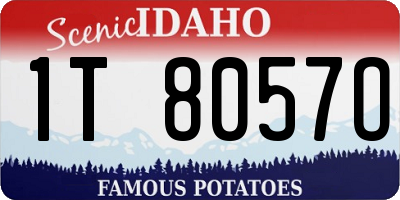 ID license plate 1T8057O