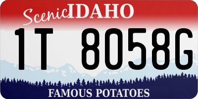 ID license plate 1T8058G