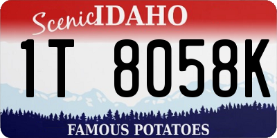 ID license plate 1T8058K
