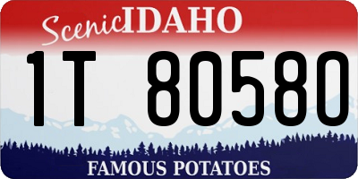 ID license plate 1T8058O