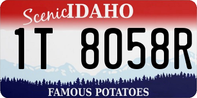 ID license plate 1T8058R