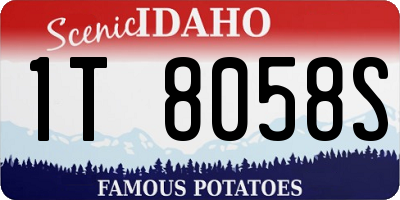 ID license plate 1T8058S
