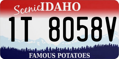 ID license plate 1T8058V