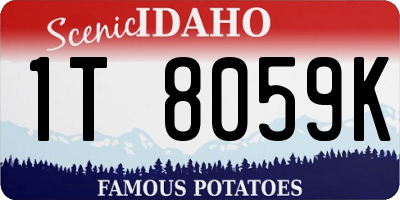 ID license plate 1T8059K