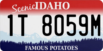 ID license plate 1T8059M