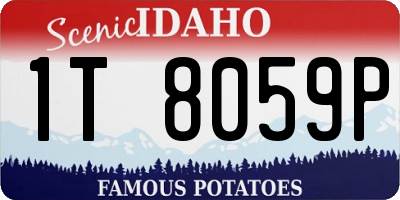 ID license plate 1T8059P