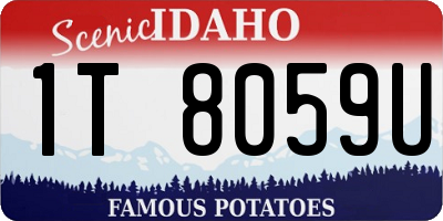 ID license plate 1T8059U