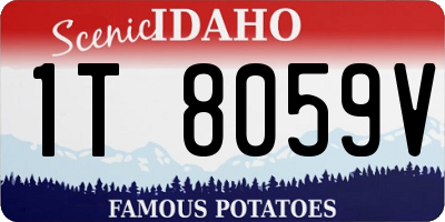 ID license plate 1T8059V