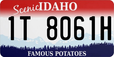 ID license plate 1T8061H