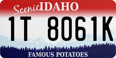 ID license plate 1T8061K