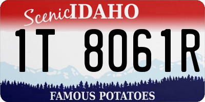 ID license plate 1T8061R