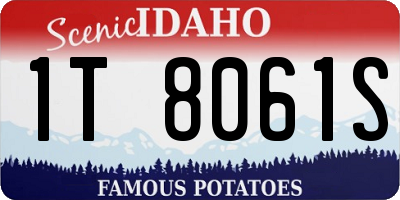 ID license plate 1T8061S