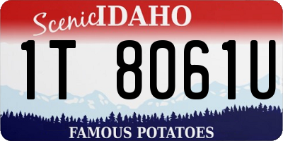 ID license plate 1T8061U