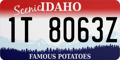 ID license plate 1T8063Z