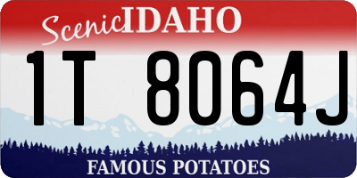 ID license plate 1T8064J