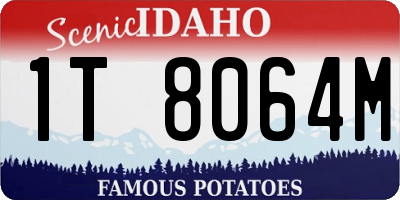 ID license plate 1T8064M