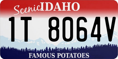 ID license plate 1T8064V