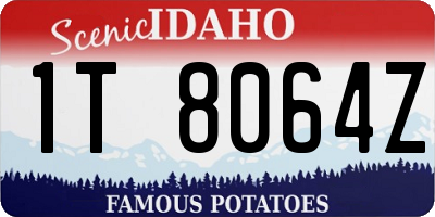 ID license plate 1T8064Z