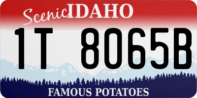 ID license plate 1T8065B