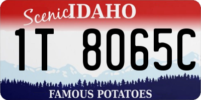 ID license plate 1T8065C