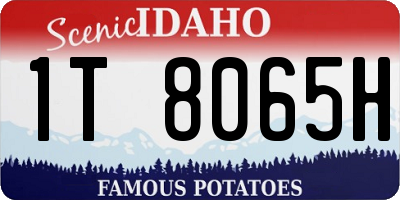 ID license plate 1T8065H
