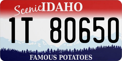 ID license plate 1T8065O