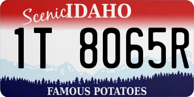 ID license plate 1T8065R