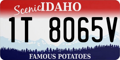 ID license plate 1T8065V
