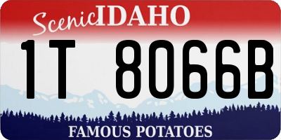 ID license plate 1T8066B