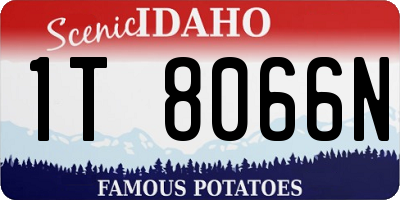 ID license plate 1T8066N