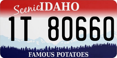 ID license plate 1T8066O