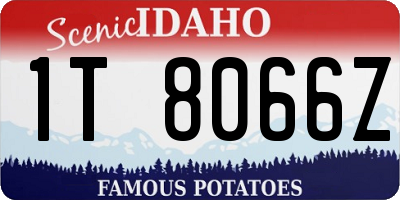 ID license plate 1T8066Z
