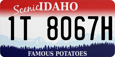 ID license plate 1T8067H