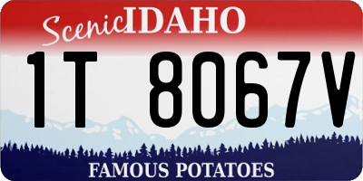 ID license plate 1T8067V