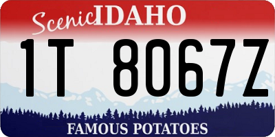 ID license plate 1T8067Z