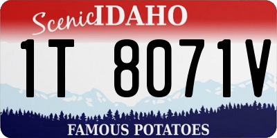 ID license plate 1T8071V