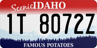 ID license plate 1T8072Z