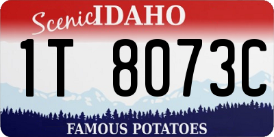 ID license plate 1T8073C