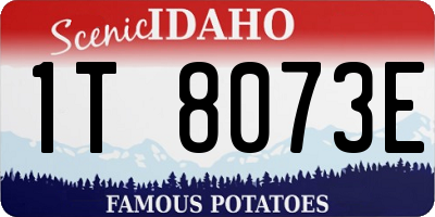 ID license plate 1T8073E