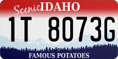 ID license plate 1T8073G