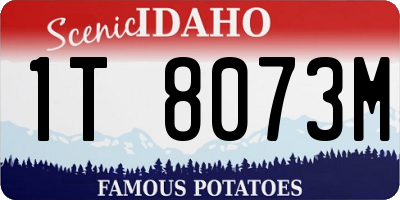ID license plate 1T8073M