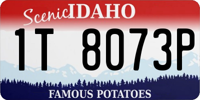 ID license plate 1T8073P