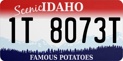 ID license plate 1T8073T