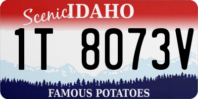 ID license plate 1T8073V