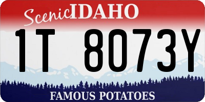 ID license plate 1T8073Y