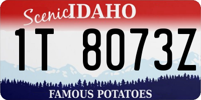 ID license plate 1T8073Z