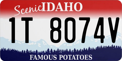 ID license plate 1T8074V